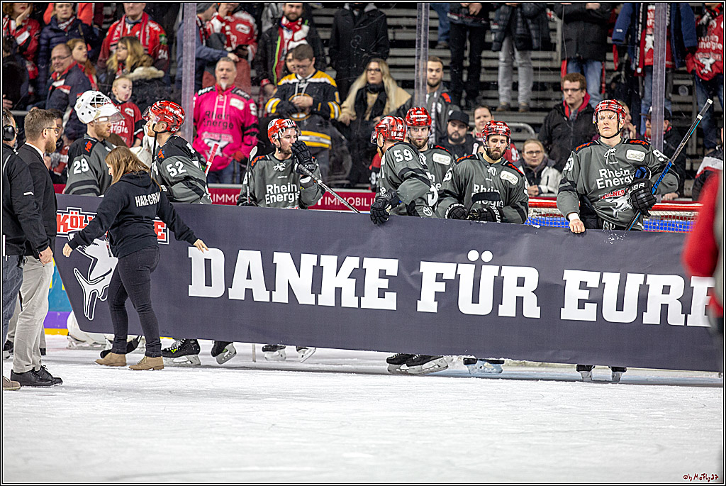 DEL; Koelner Haie - Grizzlys Wolfsburg, 26.12.2018
